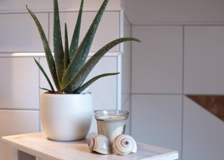 Moderne, Gemuetliche Dg-Wohnung In Ruhiger Lage Neunburg vorm Wald Exteriör bild
