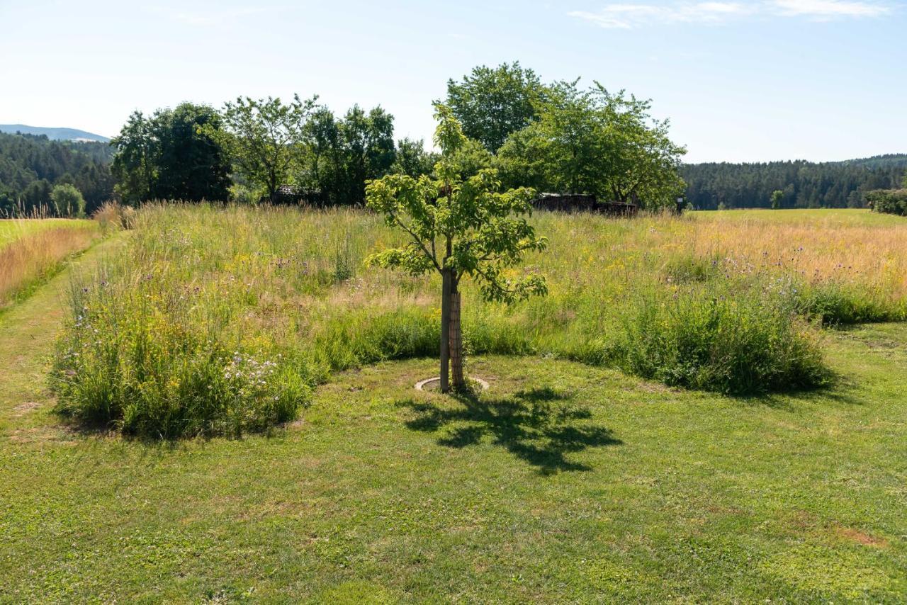 Moderne, Gemuetliche Dg-Wohnung In Ruhiger Lage Neunburg vorm Wald Exteriör bild
